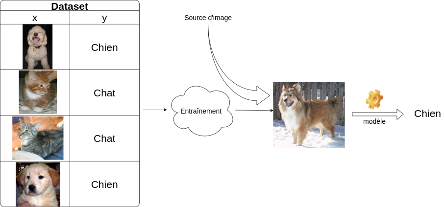 Schema d'une classification chien vs chat